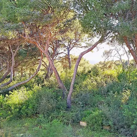 Apartment T2 Duplex Renove A 20m De La Avec Vue Mer, Parking Et Wifi